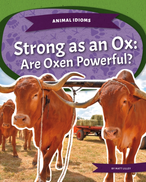 Animal Idioms: Strong as an Ox: Are Oxen Powerful?, Paperback / softback Book