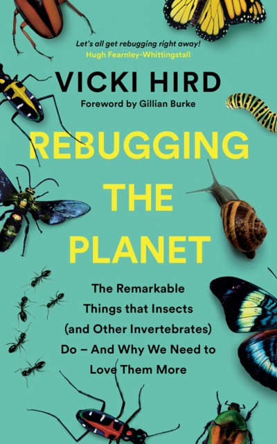 Rebugging the Planet : The Remarkable Things that Insects (and Other Invertebrates) Do - And Why We Need to Love Them More, Paperback / softback Book