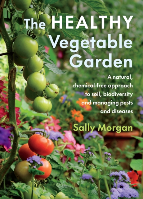 The Healthy Vegetable Garden : A natural, chemical-free approach to soil, biodiversity and managing pests and diseases, Paperback / softback Book