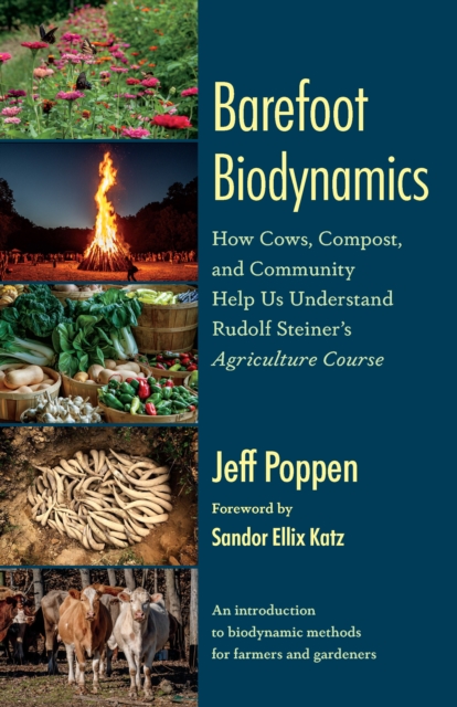 Barefoot Biodynamics : How Cows, Compost, and Community Help Us Understand Rudolf Steiner’s Agriculture Course, Paperback / softback Book