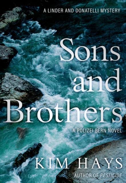 Sons & Brothers : A Polizei Bern Novel, Paperback / softback Book