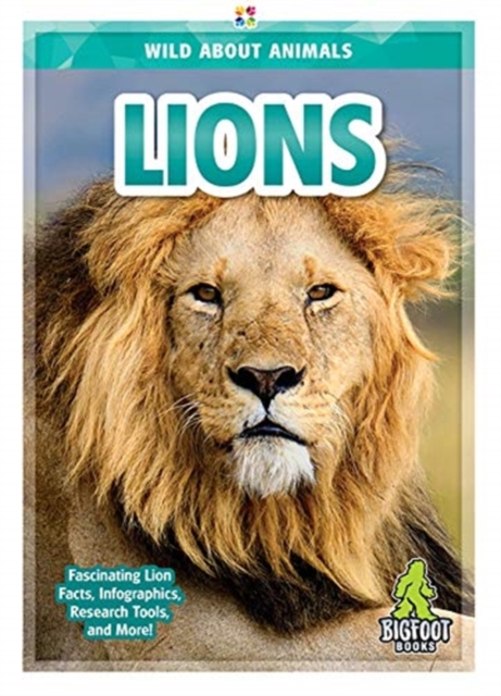 Lions, Hardback Book