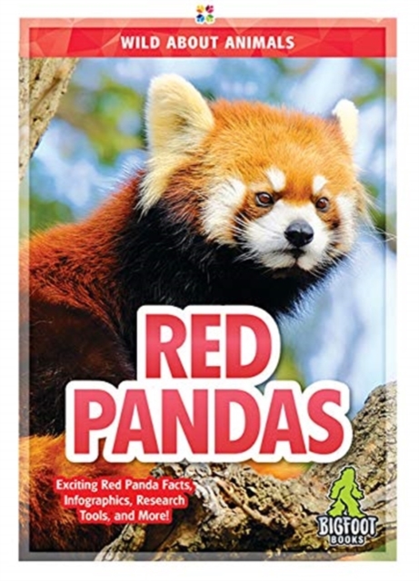 Red Pandas, Hardback Book