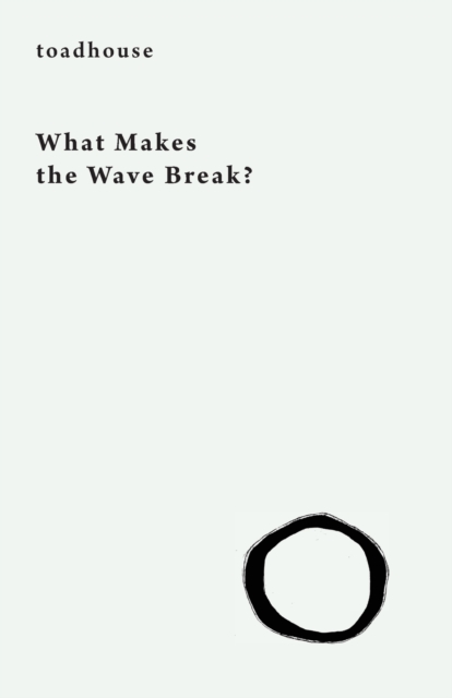 What Makes the Wave Break?, Paperback / softback Book