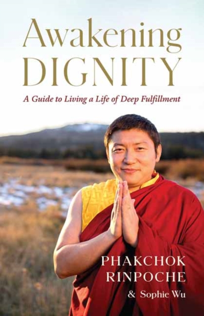 Awakening Dignity : A Guide to Living a Life of Deep Fulfillment, Paperback / softback Book