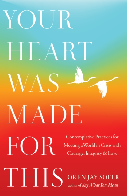 Your Heart Was Made For This : Contemplative Practices for Meeting a World in Crisis with Courage, Integrity, and Love, Hardback Book