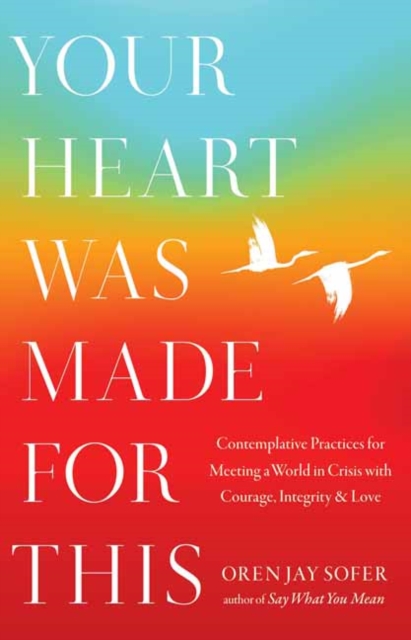 Your Heart Was Made for This : Contemplative Practices for Meeting a World in Crisis with Courage, Integrity, and Love, Paperback / softback Book