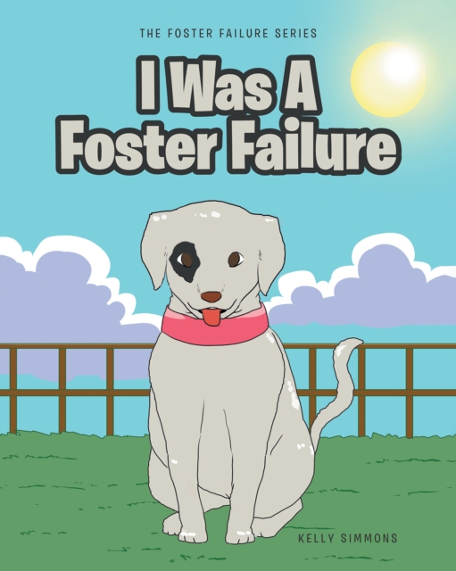 I Was A Foster Failure, EPUB eBook
