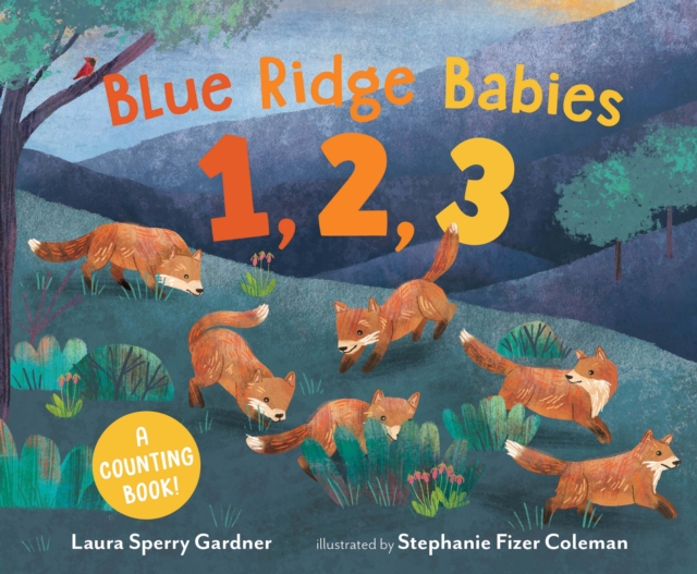 Blue Ridge Babies 1, 2, 3 : A Counting Book, Hardback Book