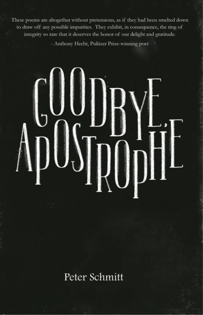 Goodbye, Apostrophe, Paperback / softback Book