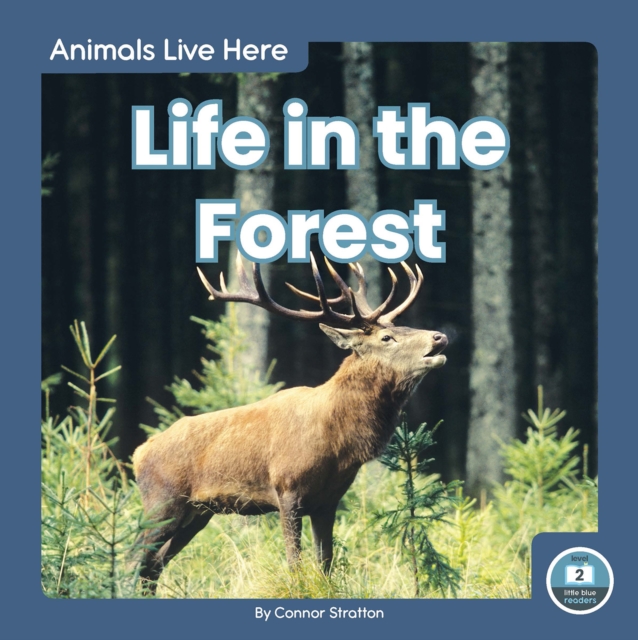 Animals Live Here: Life in the Forest, Hardback Book