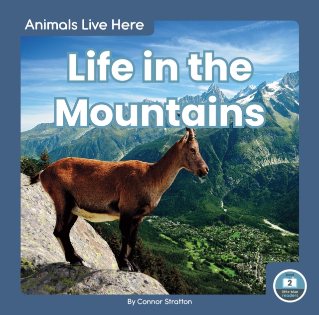 Animals Live Here: Life in the Mountains, Hardback Book