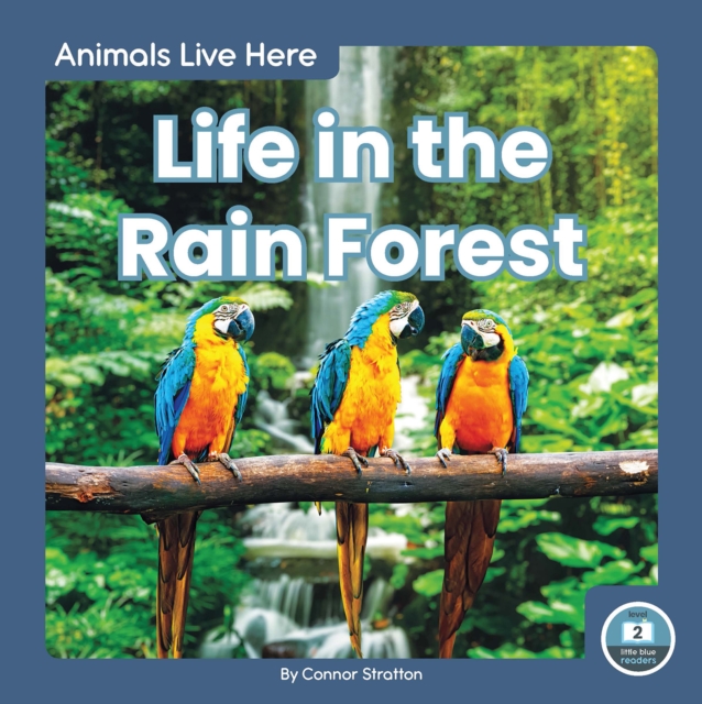 Animals Live Here: Life in the Rain Forest, Paperback / softback Book