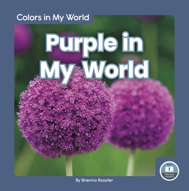 Colors in My World: Purple in My World, Hardback Book
