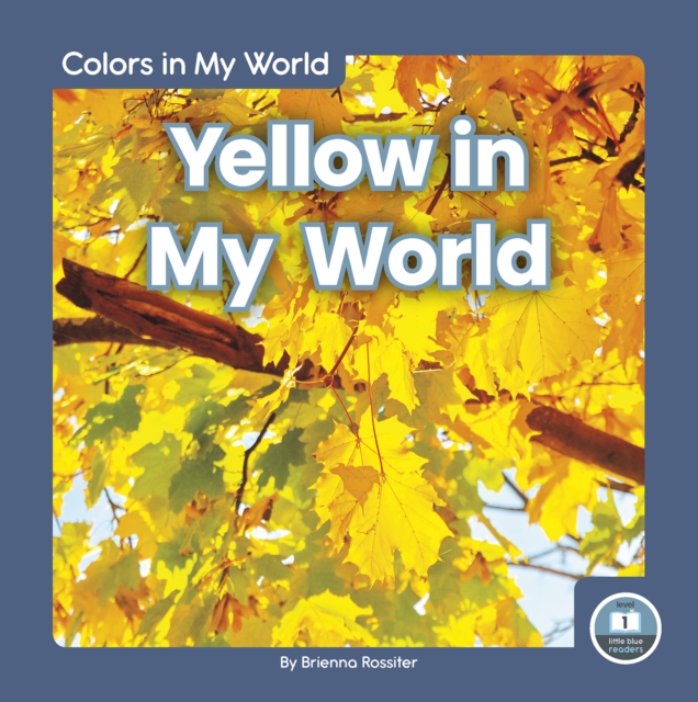Colors in My World: Yellow in My World, Hardback Book