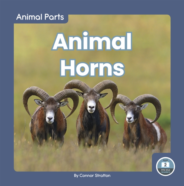 Animal Parts: Animal Horns, Hardback Book