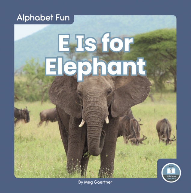 Alphabet Fun: E is for Elephant, Hardback Book