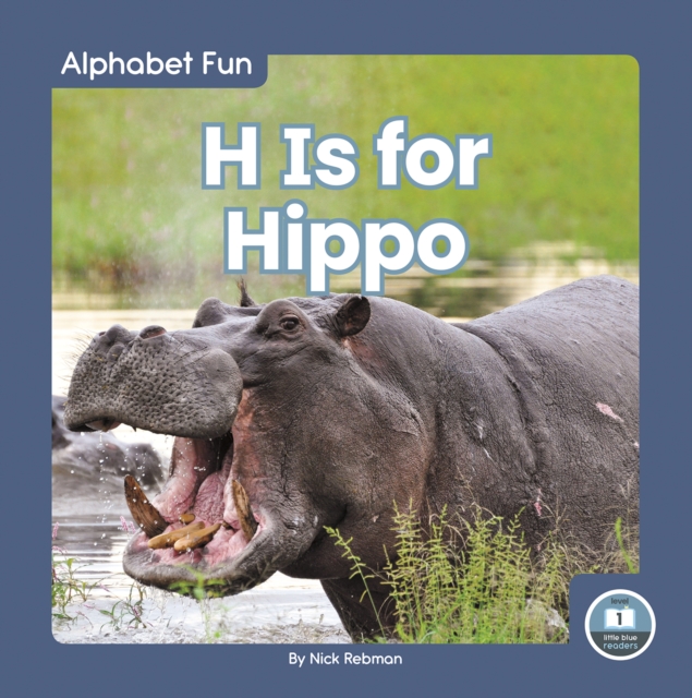 Alphabet Fun: H is for Hippo, Paperback / softback Book