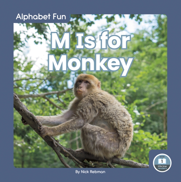 Alphabet Fun: M is for Monkey, Paperback / softback Book