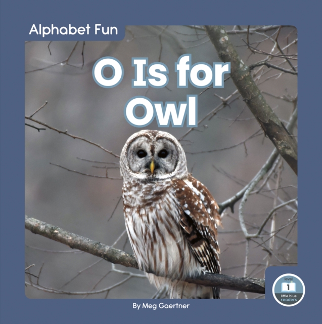 Alphabet Fun: O is for Owl, Paperback / softback Book