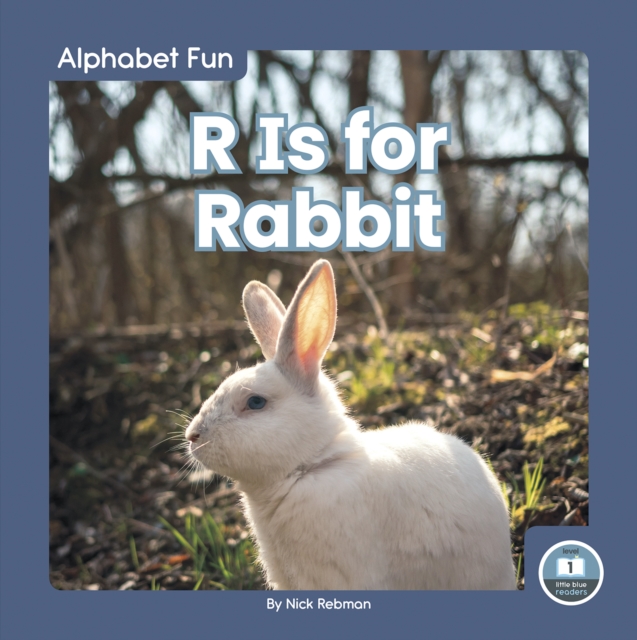 Alphabet Fun: R is for Rabbit, Paperback / softback Book