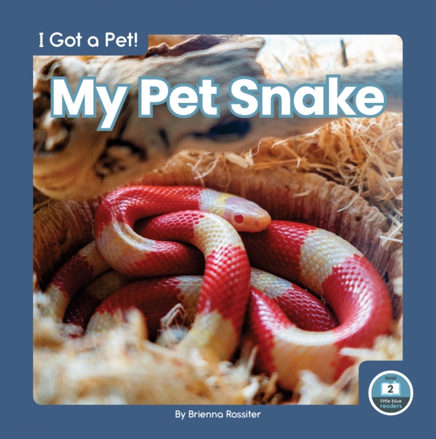 I Got a Pet! My Pet Snake, Paperback / softback Book