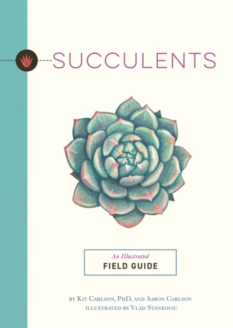 Succulents : An Illustrated Field Guide, Paperback / softback Book