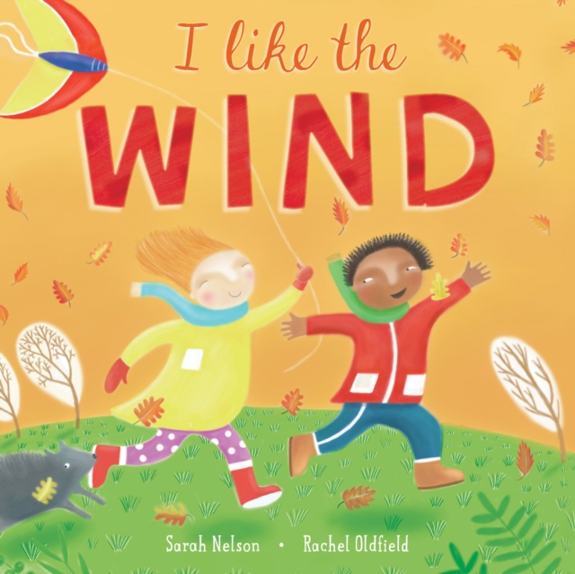 I Like the Wind, Hardback Book