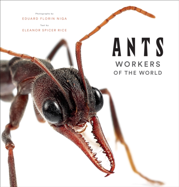 Ants : Workers of the World, EPUB eBook