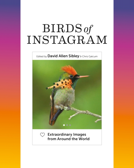 Birds of Instagram : Extraordinary Images from Around the World, EPUB eBook