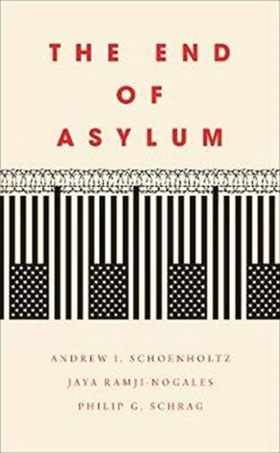 The End of Asylum, Hardback Book