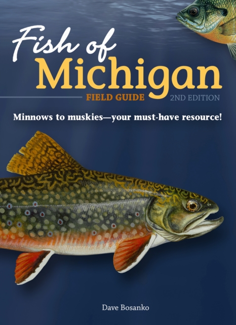 Fish of Michigan Field Guide, Paperback / softback Book