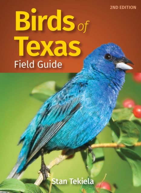 Birds of Texas Field Guide, Paperback / softback Book