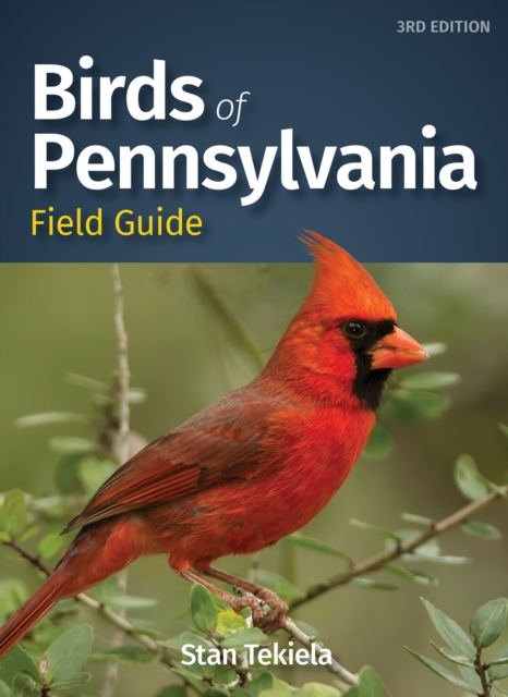 Birds of Pennsylvania Field Guide, Paperback / softback Book
