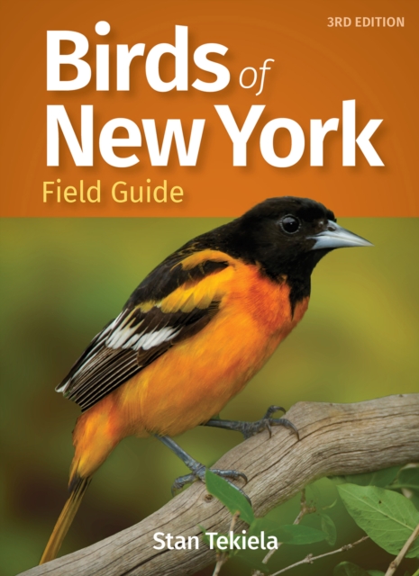 Birds of New York Field Guide, Paperback / softback Book