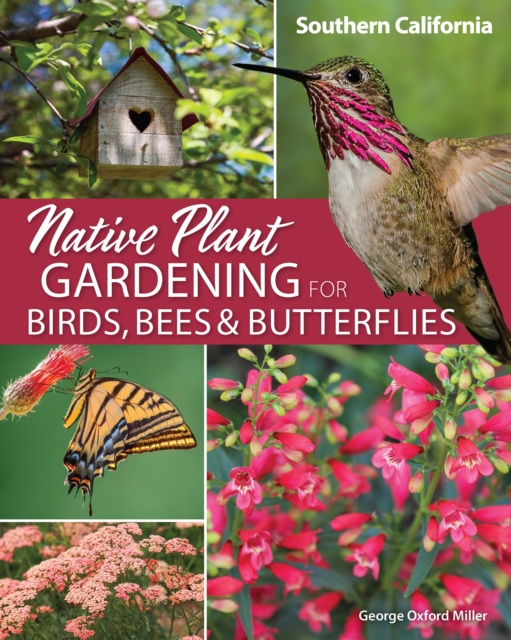 Native Plant Gardening for Birds, Bees & Butterflies: Southern California, Paperback / softback Book