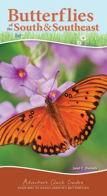 Butterflies of the South & Southeast : Your Way to Easily Identify Butterflies, Spiral bound Book