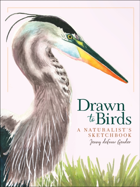 Drawn to Birds : A Naturalist's Sketchbook, Hardback Book