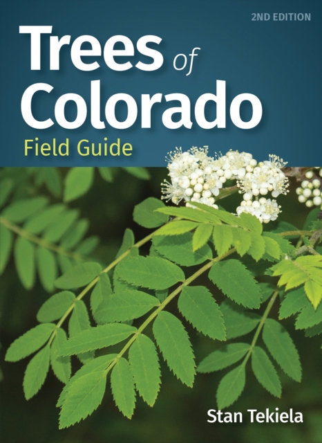 Trees of Colorado Field Guide, Paperback / softback Book