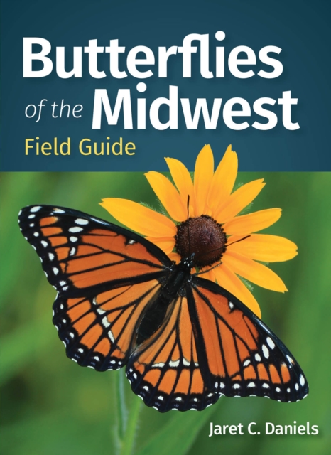 Butterflies of the Midwest Field Guide, Paperback / softback Book