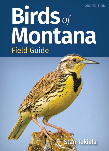 Birds of Montana Field Guide, Paperback / softback Book