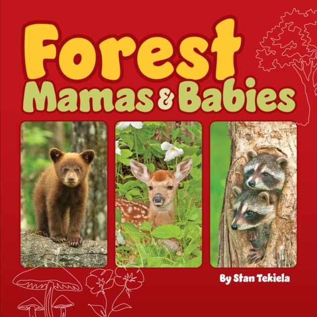 Forest Mamas and Babies, Board book Book