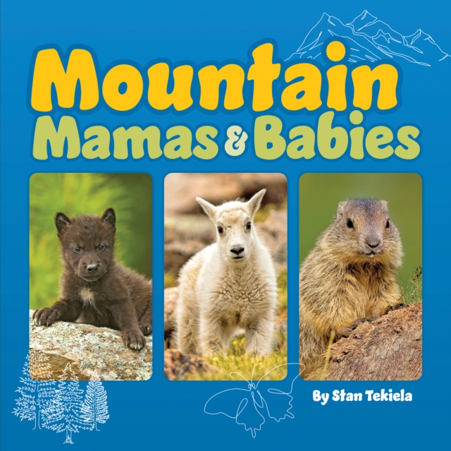 Mountain Mamas and Babies, Board book Book