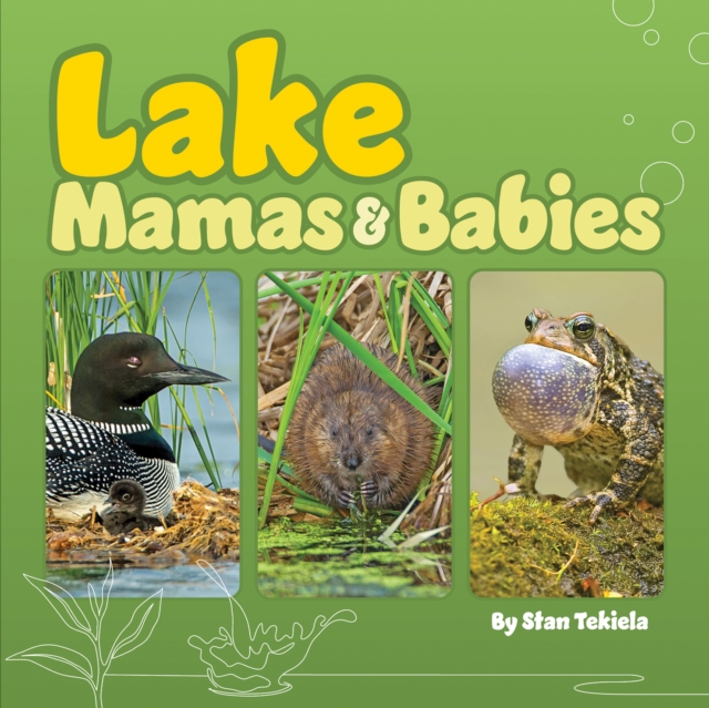 Lake Mamas and Babies, Board book Book