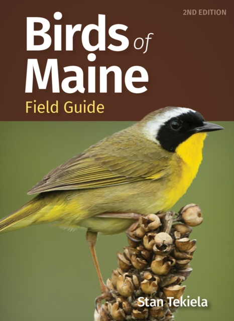 Birds of Maine Field Guide, Paperback / softback Book