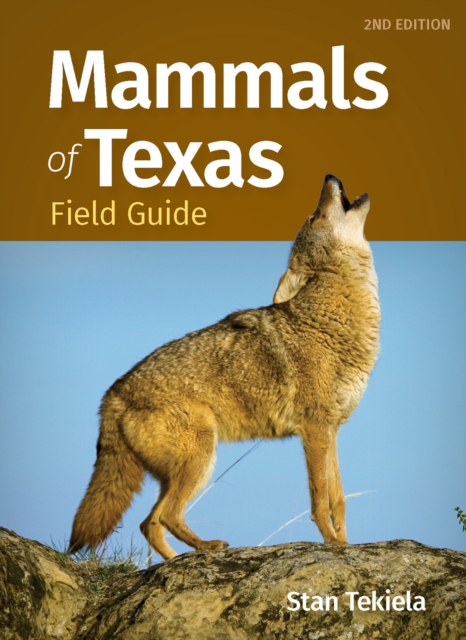 Mammals of Texas Field Guide, Paperback / softback Book
