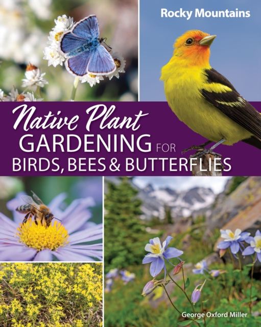 Native Plant Gardening for Birds, Bees & Butterflies: Rocky Mountains, Paperback / softback Book