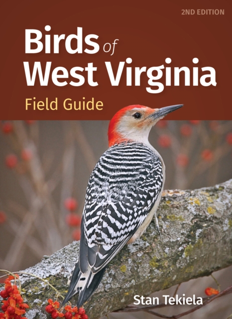 Birds of West Virginia Field Guide, Paperback / softback Book