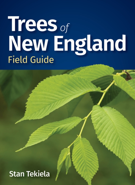 Trees of New England Field Guide, Paperback / softback Book