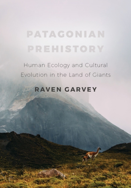 Patagonian Prehistory : Human Ecology and Cultural Evolution in the Land of Giants, Hardback Book